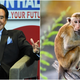 Image for article titled Wayne Newton gets sued over an alleged pet monkey attack